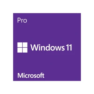 Windows 11 Pro