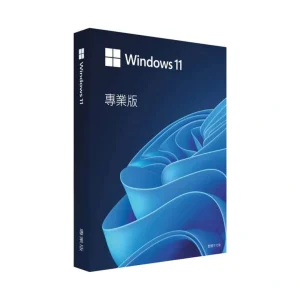 Windows 11 Pro