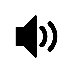 電腦耳機 / 喇叭 / 麥克風