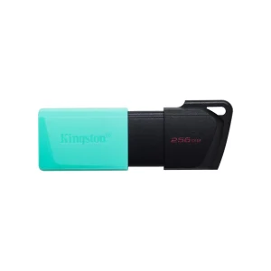 Kingston DTXM/256GB