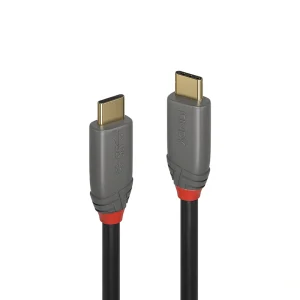 LINDY 林帝 USB 3.2 Gen 2x2 Type-C公 To 公 傳輸線+PD智能電流晶片 0.5M(36900) T1L39072