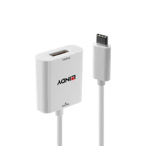 LINDY 林帝 主動式 Type-C To DP1.4 轉接器(43245) T5L39036