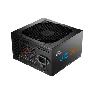 FSP 全漢 VIC BD+ 650W ATX3 銅牌直出電源(壓紋線/八大保護/DC-DC/3+2年保固) 07F17085